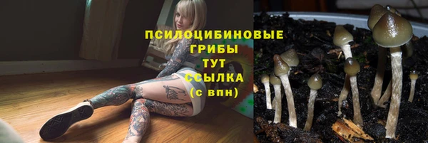 стафф Белоозёрский