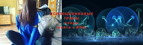 гидра Белокуриха