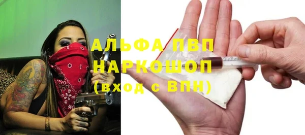 гидра Белокуриха