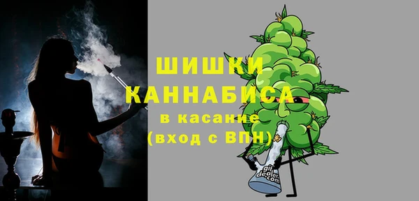 гидра Белокуриха