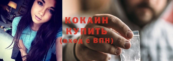 гидра Белокуриха
