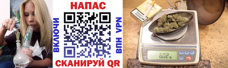 Купить закладки  Пошехонье  Конопля White Widow 